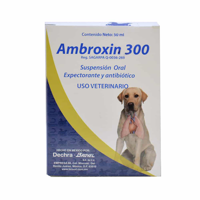 Ambroxin 300 - Dechra Ambroxin 300 - Dechra
